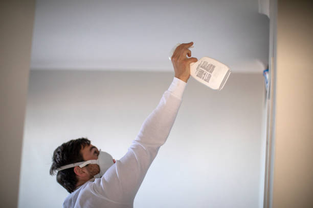 Best Post-Flood Mold Remediation in Fort Valley, AZ